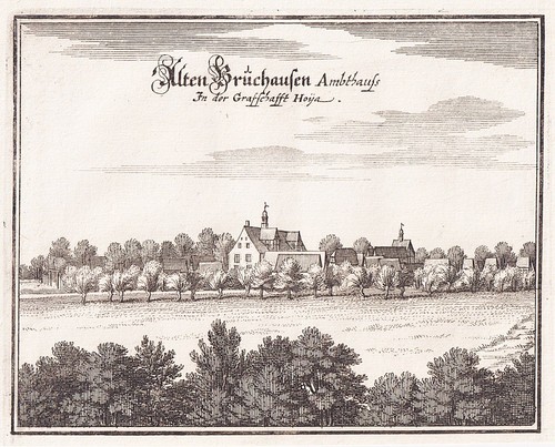 Hoya bruchhausen - hoya,