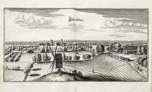 Wolfsberg fallersleben - wolfsberg,