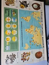 Schulkarte Rollkarte 